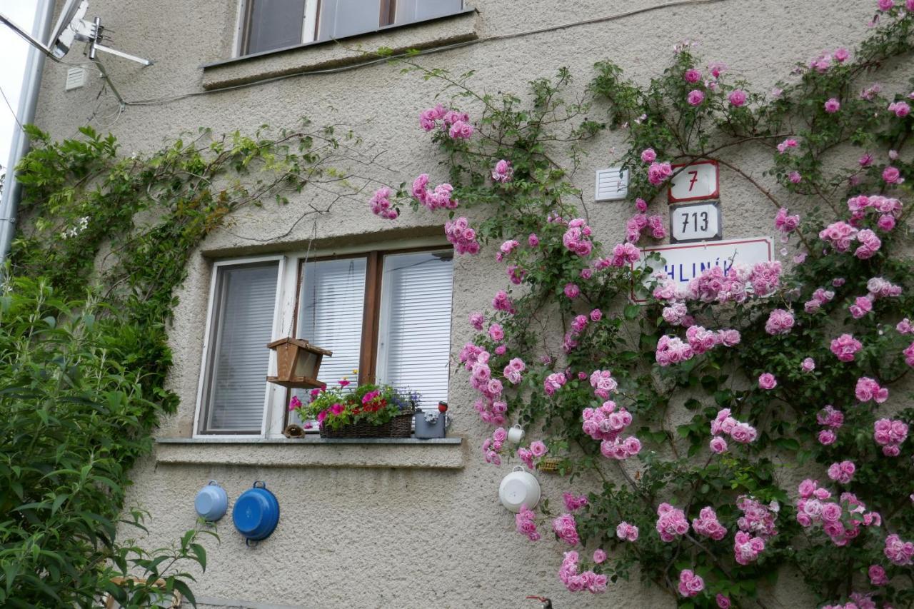 Apartment At Sedliacky Dvor - Brezno Εξωτερικό φωτογραφία